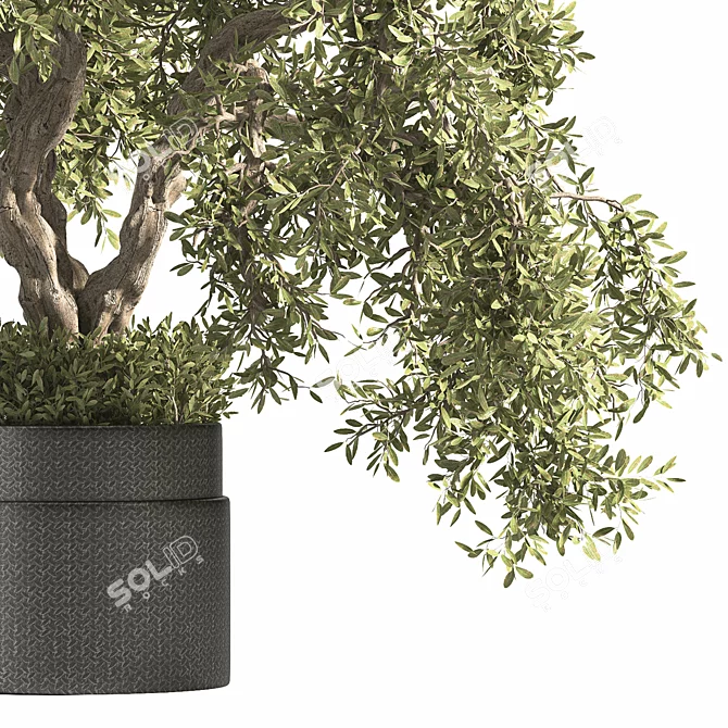 Breathe Life with Interior Bonsai 3D model image 4