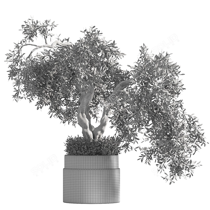 Breathe Life with Interior Bonsai 3D model image 5