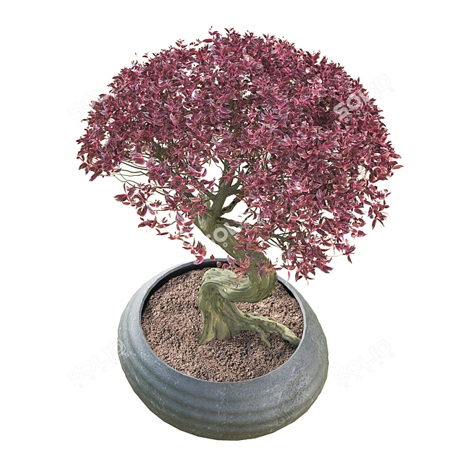 Bonsai 02: Millimeter Dimensions, High Poly, FBX & OBJ Formats 3D model image 3