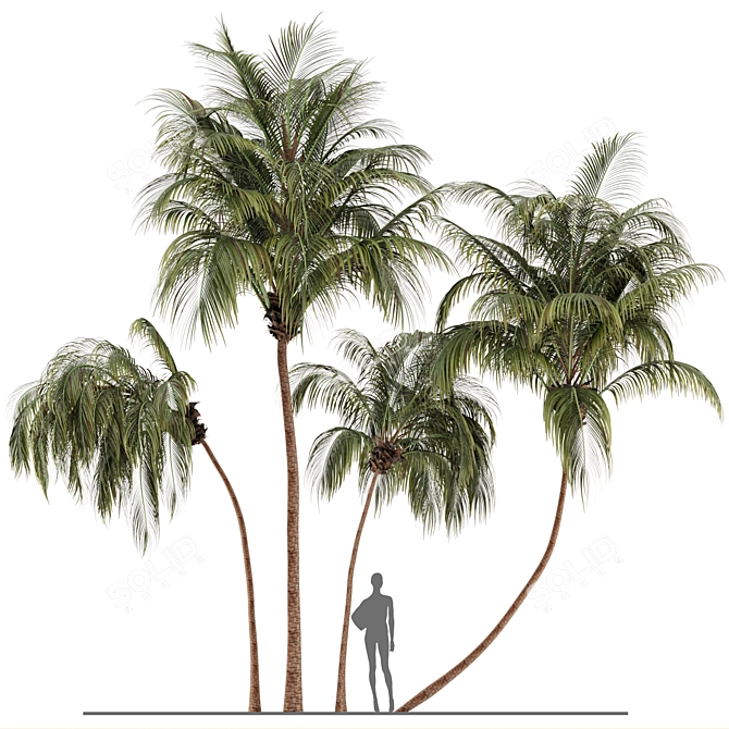 Lush Green Palm Tree Set 185 3D model image 1