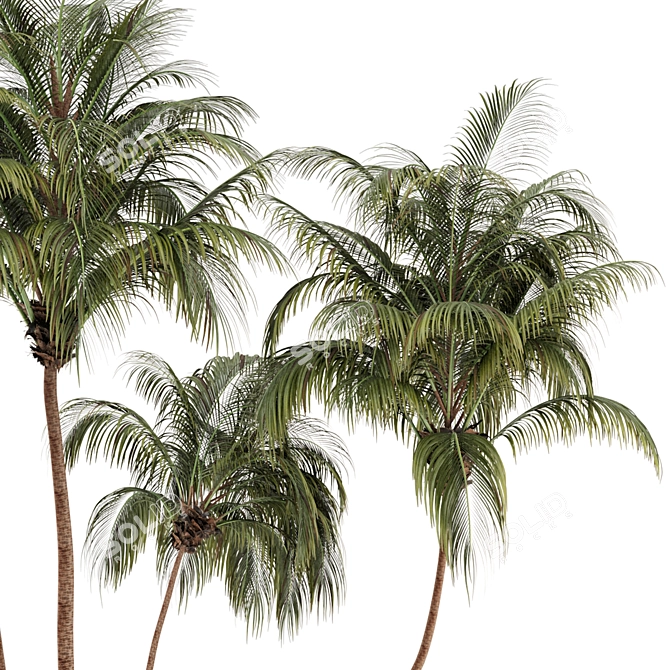 Lush Green Palm Tree Set 185 3D model image 4
