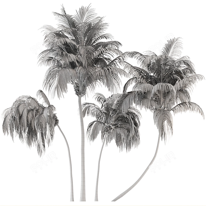Lush Green Palm Tree Set 185 3D model image 6