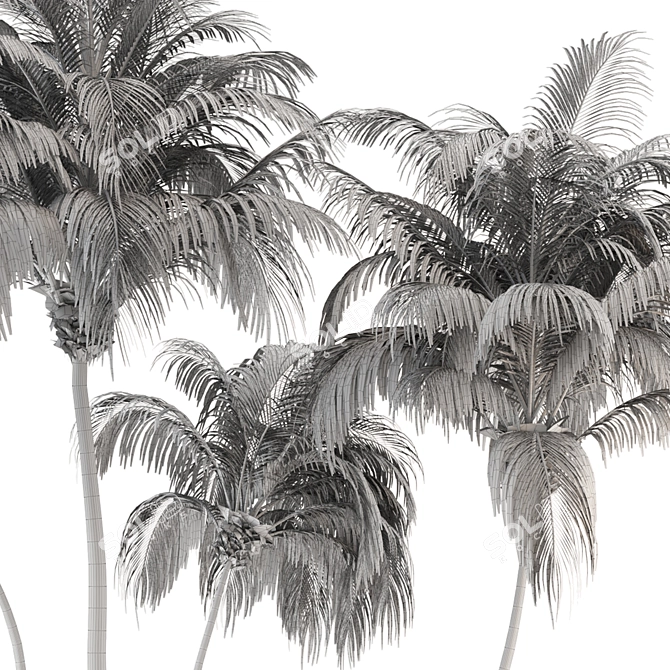 Lush Green Palm Tree Set 185 3D model image 7