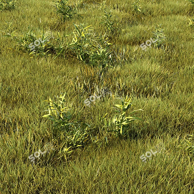 Versatile Grass Collection for Stunning Landscapes 3D model image 1