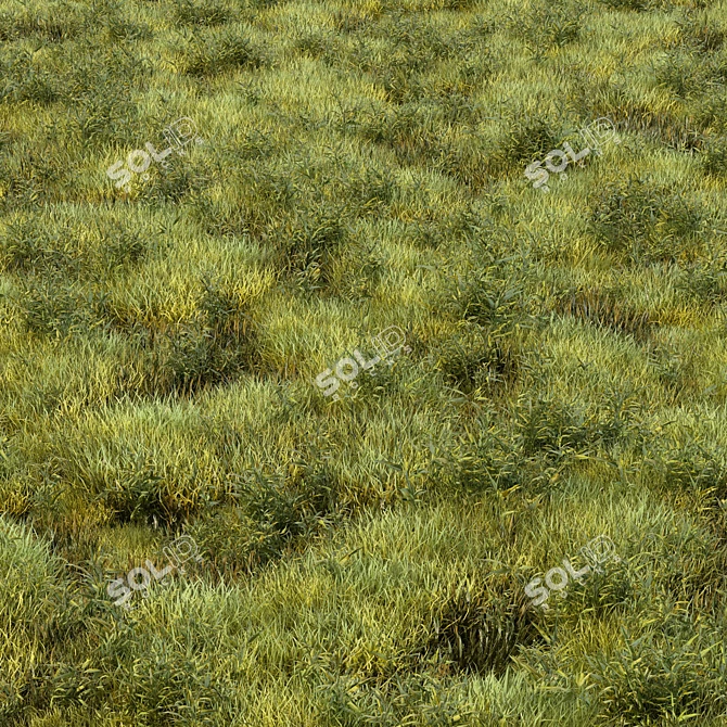 Versatile Grass Collection for Stunning Landscapes 3D model image 2