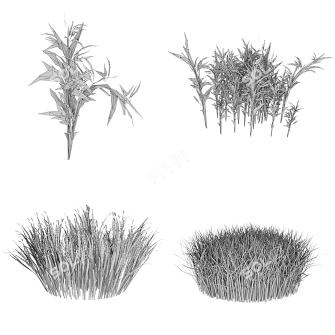 Versatile Grass Collection for Stunning Landscapes 3D model image 3