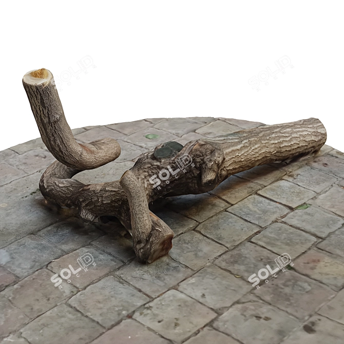 Natural Wood Tree Trunk 8 3D model image 3
