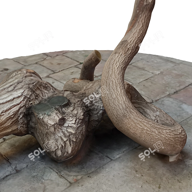 Natural Wood Tree Trunk 8 3D model image 4