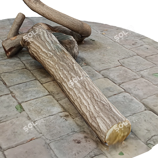 Natural Wood Tree Trunk 8 3D model image 6