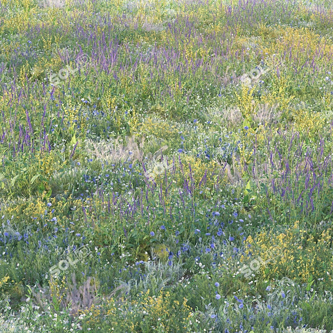 Meadow Bliss Grass Scatter Kit 3D model image 1