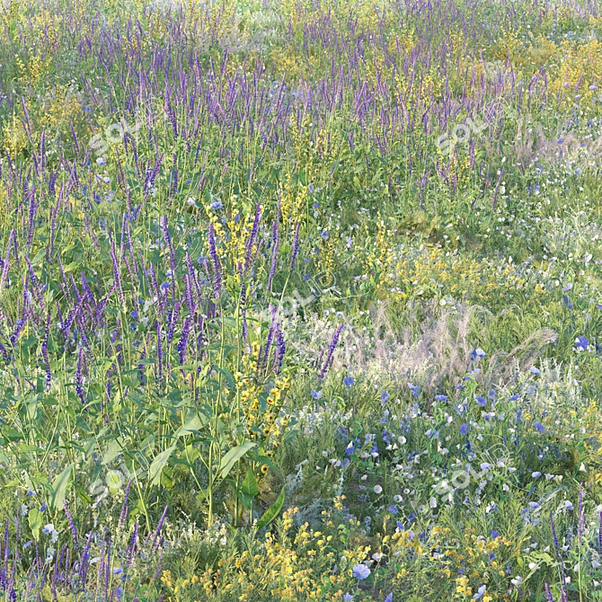 Meadow Bliss Grass Scatter Kit 3D model image 2