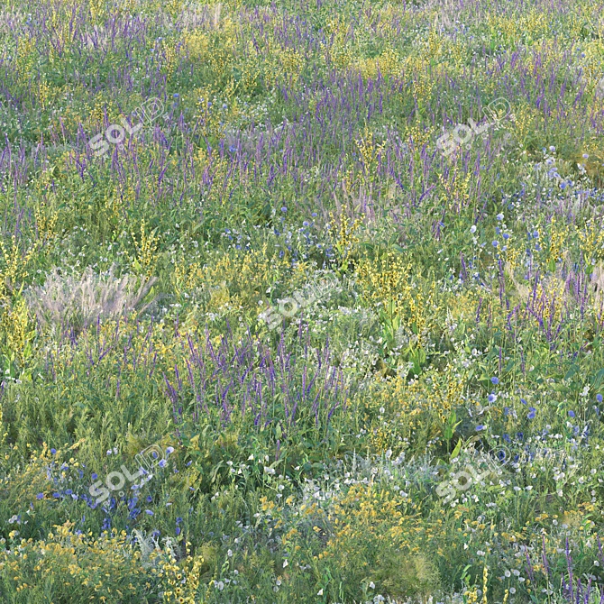 Meadow Bliss Grass Scatter Kit 3D model image 3