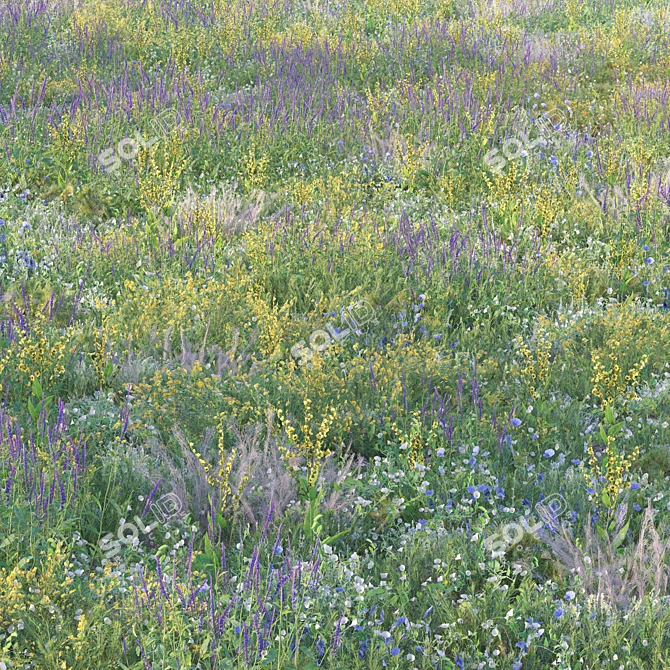 Meadow Bliss Grass Scatter Kit 3D model image 4