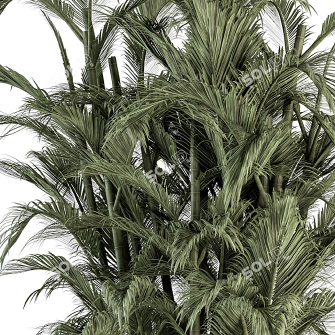 Tropical Oasis Outdoor Set 3D model image 2