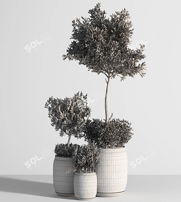 Tropical Indoor Plant Set 3D model image 5