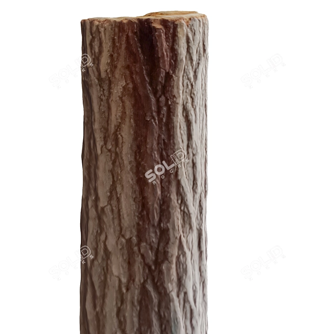 Nature-inspired Tree Trunk Sculpture 3D model image 4