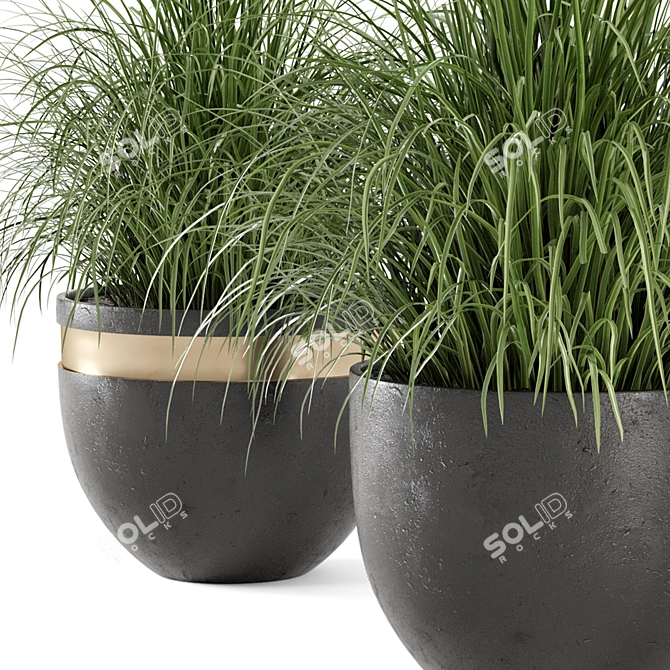 Rusty Concrete Pot Outdoor Plant Set 3D model image 3