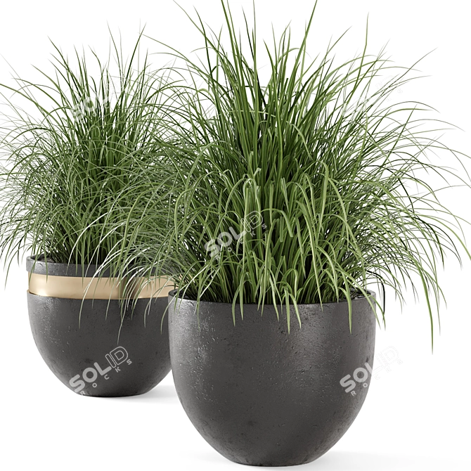 Rusty Concrete Pot Outdoor Plant Set 3D model image 5