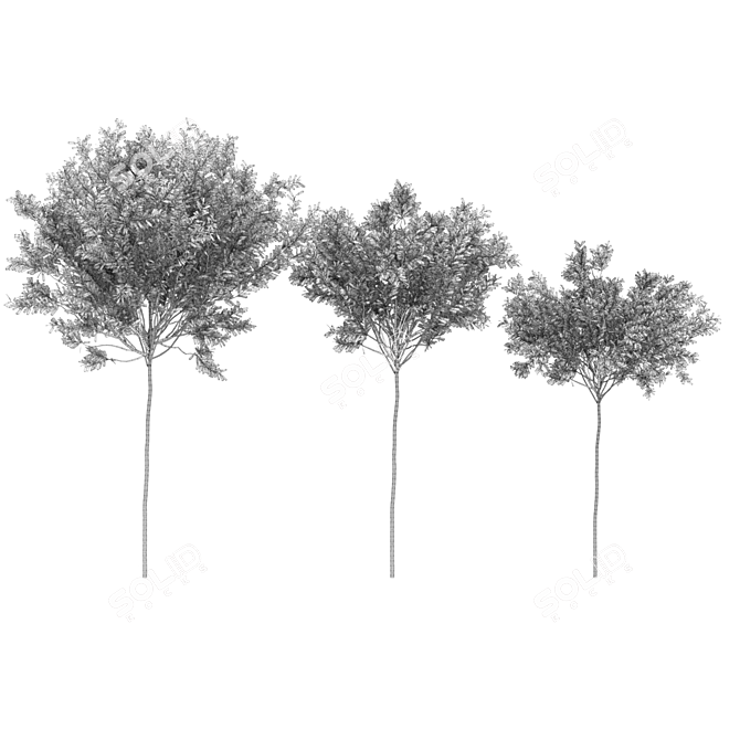 Premium Plant Collection - Volume 230 3D model image 2