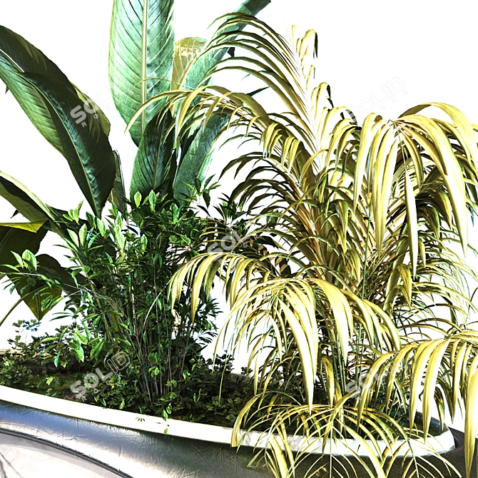 Green Oasis Box Plant Set 3D model image 4