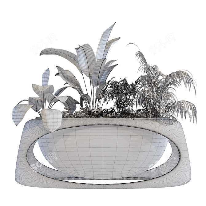 Green Oasis Box Plant Set 3D model image 7