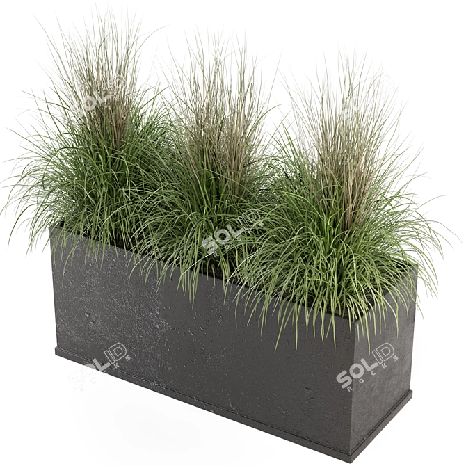 Rusty Concrete Pot with Outdoor Plants 3D model image 2