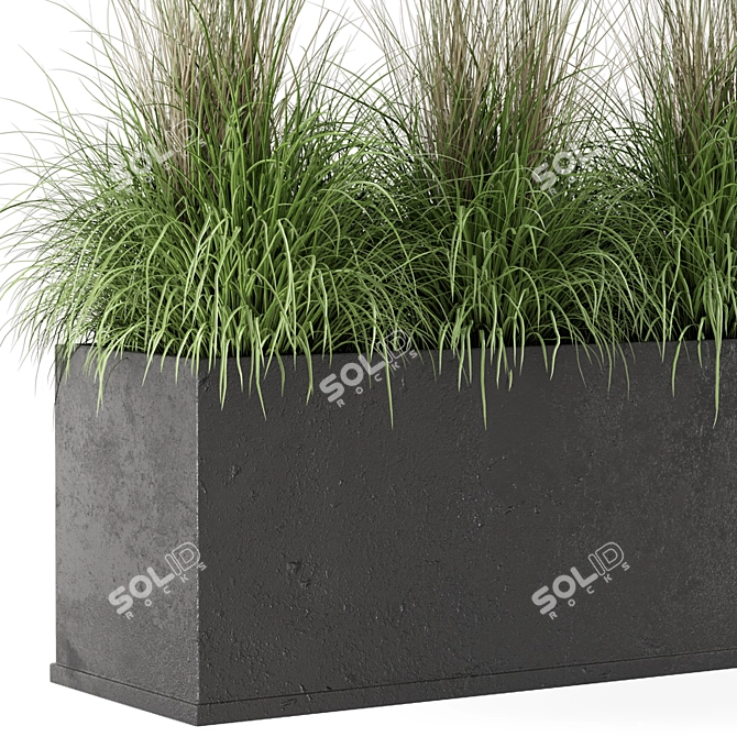 Rusty Concrete Pot with Outdoor Plants 3D model image 4