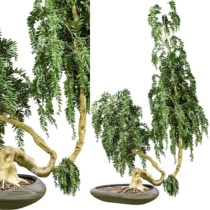 Impressive Tree Vol. 03 - 2015 3D model image 1