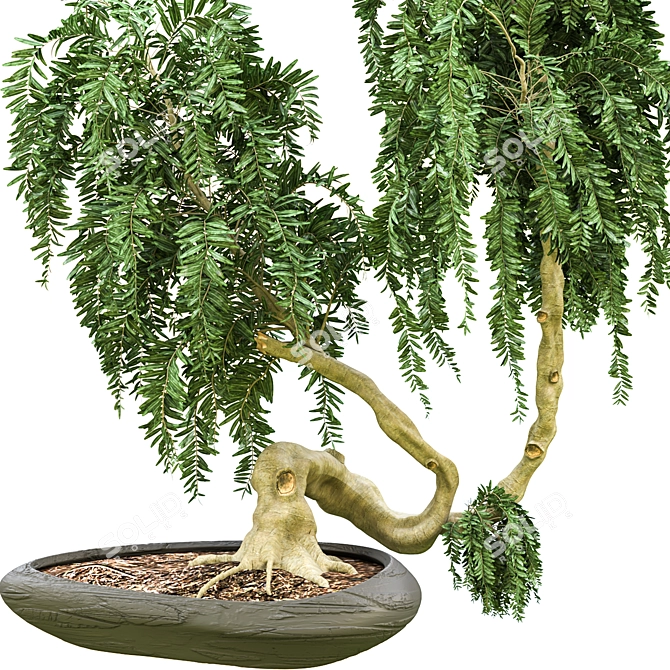 Impressive Tree Vol. 03 - 2015 3D model image 2