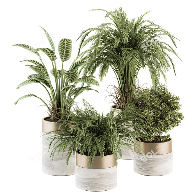 Green Oasis: Indoor Plant Set in Pot 3D model image 1