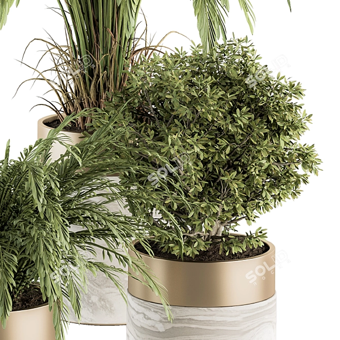 Green Oasis: Indoor Plant Set in Pot 3D model image 2