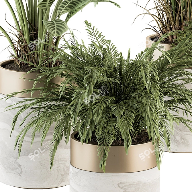 Green Oasis: Indoor Plant Set in Pot 3D model image 3