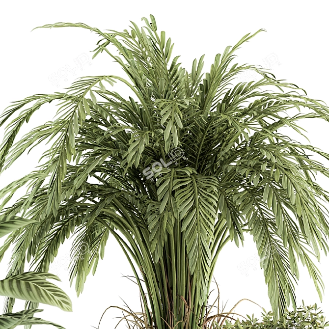 Green Oasis: Indoor Plant Set in Pot 3D model image 4
