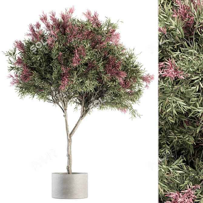 Crape Myrtle Outdoor Plant Set 3D model image 1