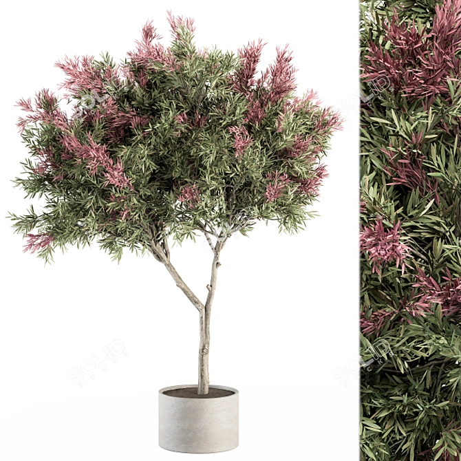 Crape Myrtle Outdoor Plant Set 3D model image 2