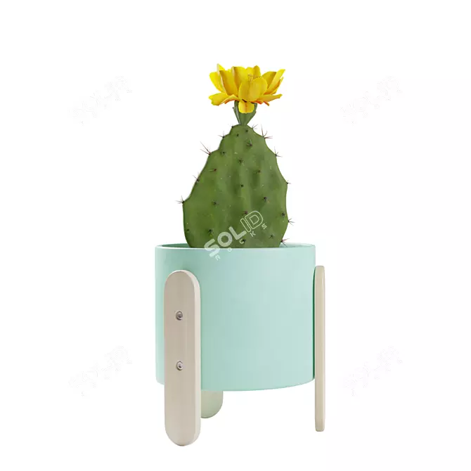 Desert Delights: Opuntia Cactus Pack 3D model image 3