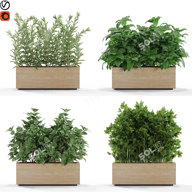 Botanical Bliss: 555 Plant Collection 3D model image 1