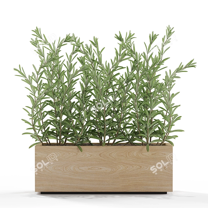 Botanical Bliss: 555 Plant Collection 3D model image 2