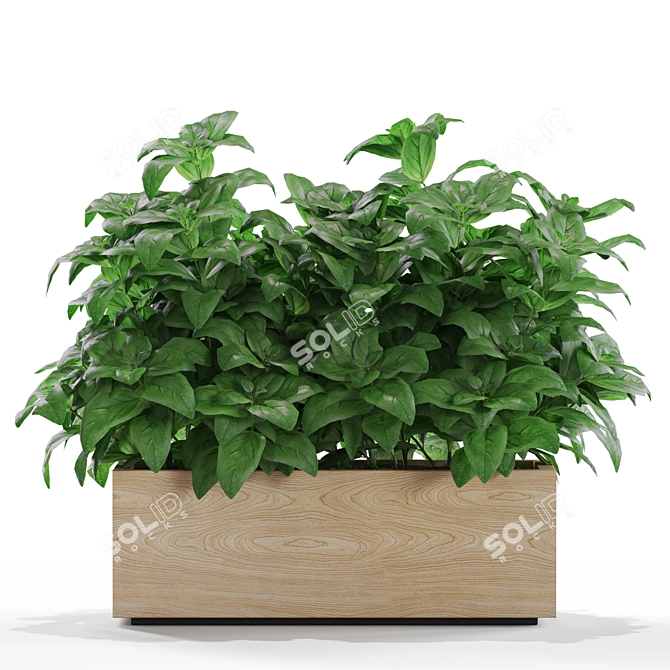 Botanical Bliss: 555 Plant Collection 3D model image 3