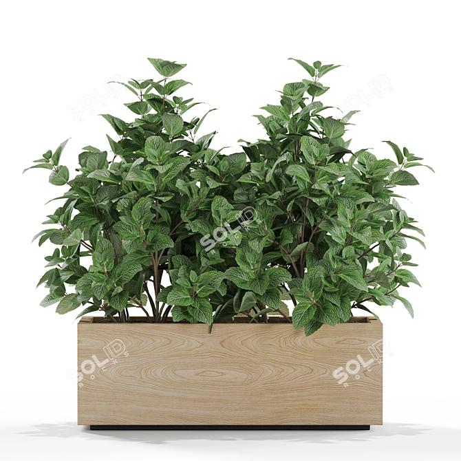 Botanical Bliss: 555 Plant Collection 3D model image 4