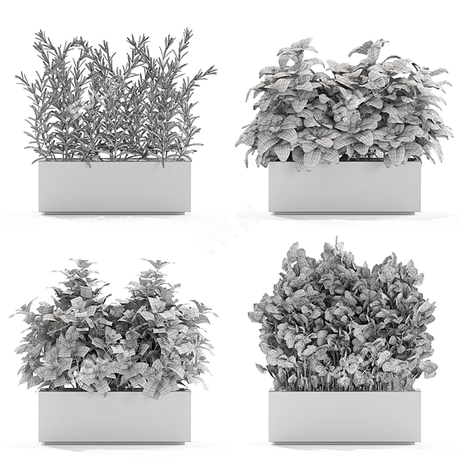 Botanical Bliss: 555 Plant Collection 3D model image 6