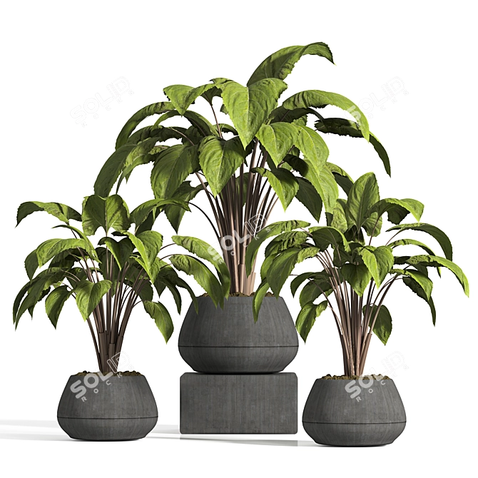 Stylish Indoor Plant Stand 3D model image 1