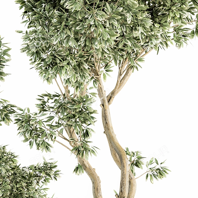 Green Oasis: Outdoor Plant Set 3D model image 2