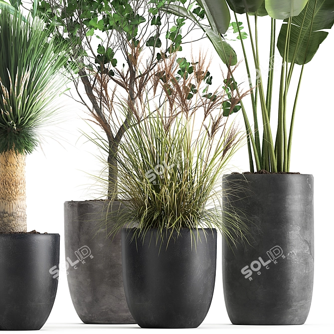 Tropical Plant Collection: Yucca, Palm, Ravenala & More 3D model image 4