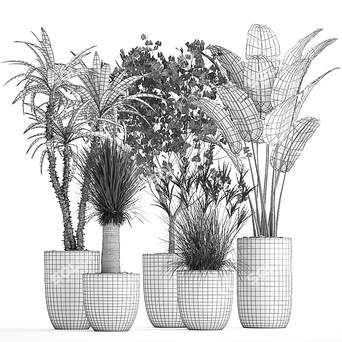 Tropical Plant Collection: Yucca, Palm, Ravenala & More 3D model image 7