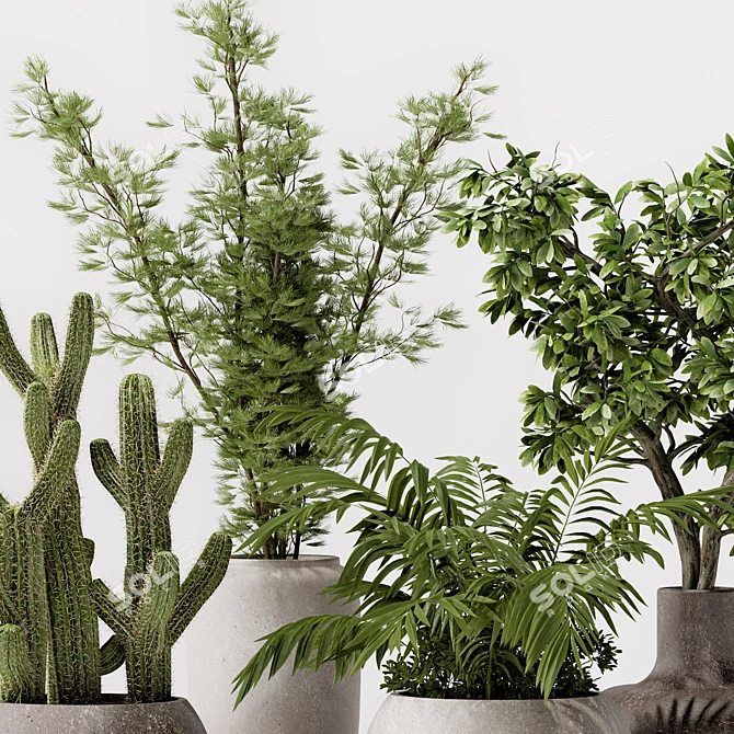 Modern Indoor Plant Decor 3D model image 2