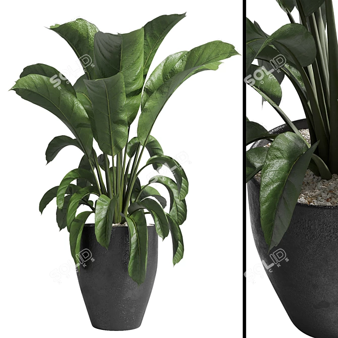 Modern Concrete Vase for Indoor Plants 3D model image 1