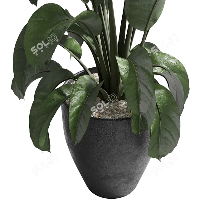 Modern Concrete Vase for Indoor Plants 3D model image 2