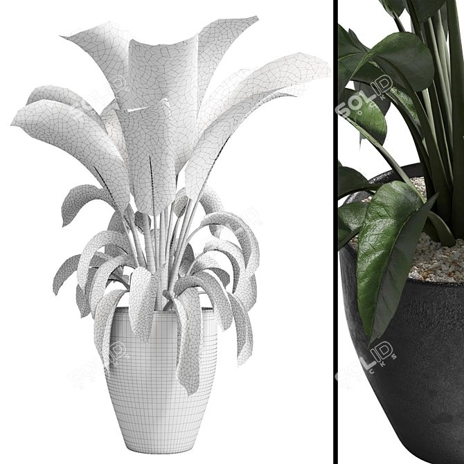 Modern Concrete Vase for Indoor Plants 3D model image 3