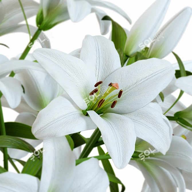 Elegant Lily Bouquet in Vase 3D model image 7